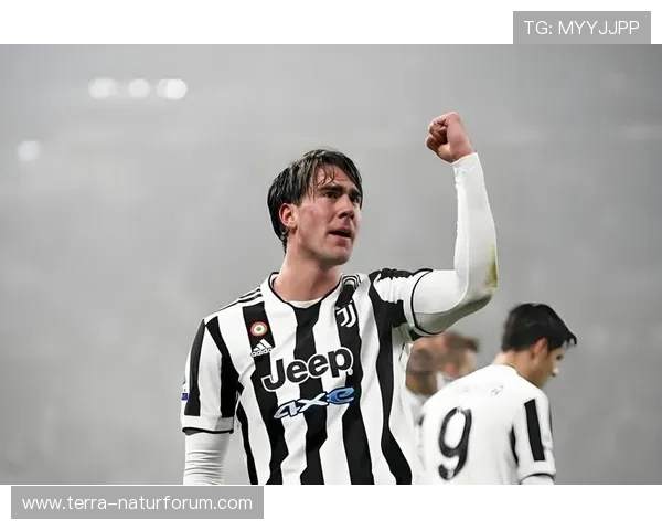 弗拉霍维奇持续提升锋线表现，助力球队攻势再升级