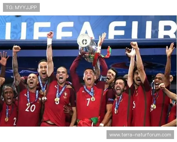 欧洲杯预选赛阶段FIFA排名走势清晰