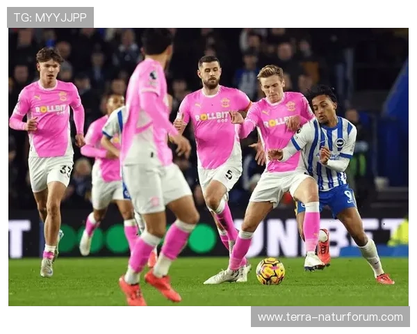 英超南安普顿队近期表现稳健，竞争力持续提升