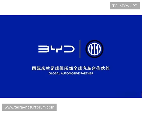 欧洲杯官方赞助