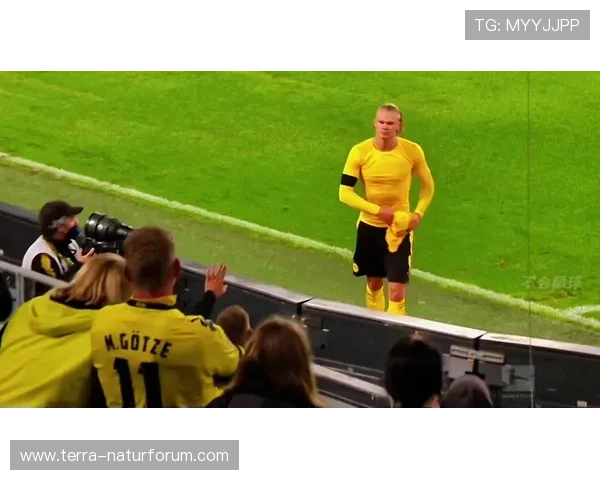 哈兰德点球主罚 哈兰德点球主罚