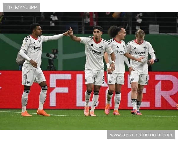 法兰克福比赛节奏