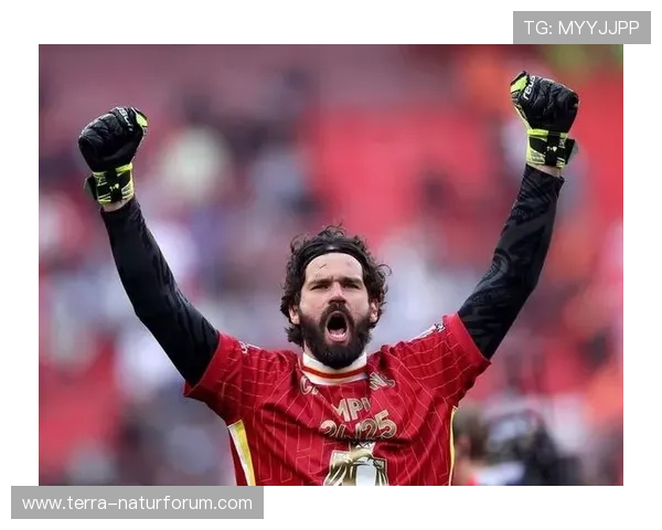 阿利松纪录片介绍