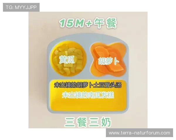 罗德里日常饮食与作息 罗德里日常饮食与作息