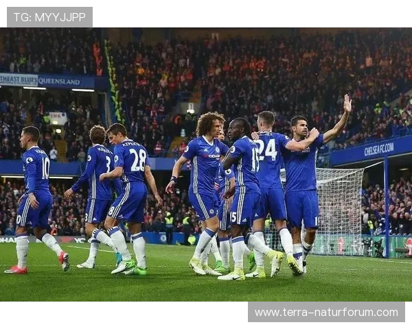 英超纽卡沙特财团 英超纽卡沙特财团