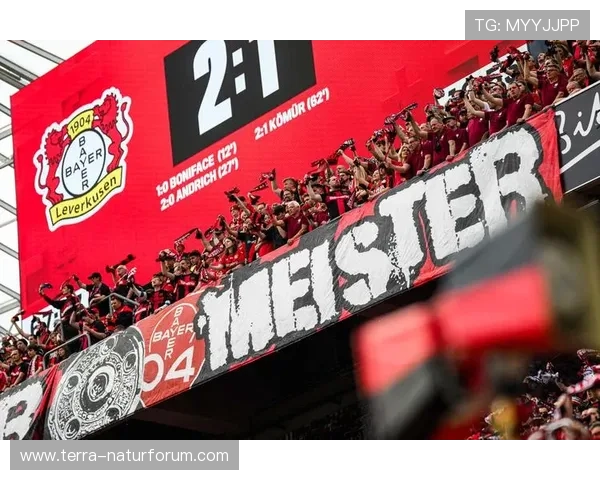 博尼法斯的团队价值：勒沃库森不败夺冠拼图解析