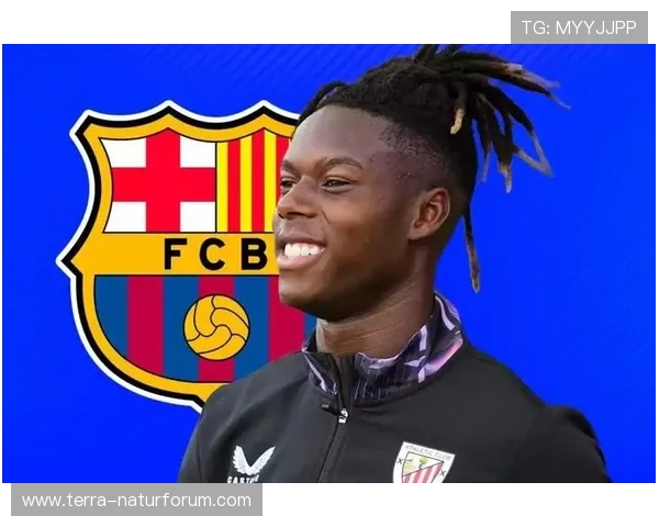 从爆点到核心：尼科·威廉斯的战术进化