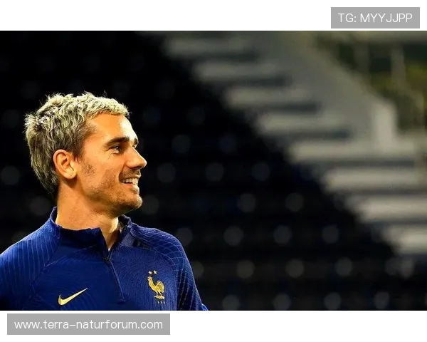 格里兹曼从终结者到组织核心的角色进化分析