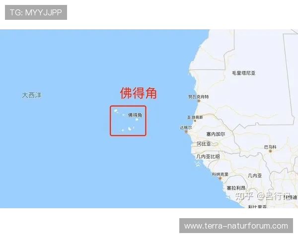 佛得角冲击2026世界杯：赛程前景与出线形势分析