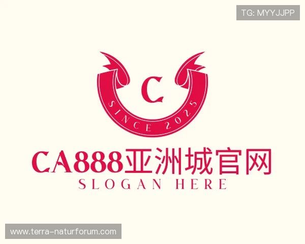 介绍CA888亚洲城